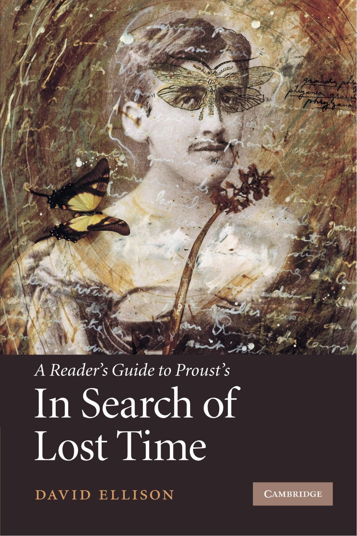 A Reader's Guide to Proust's 'In Search of Lost Time' Contemporary literature