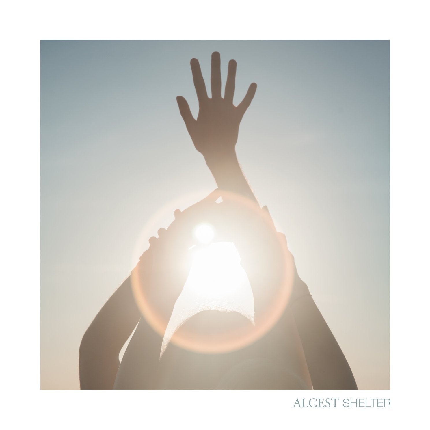 Shelter (Ltd. Gatefold / Bonus 7" mit Bonustrack / Hardcover-Photobuch) Metal & Hardrock