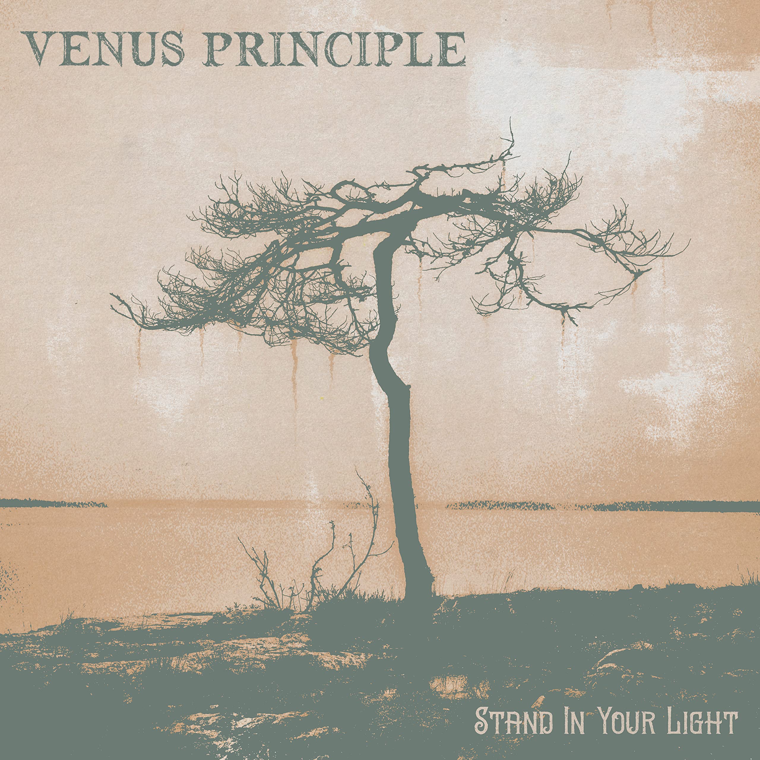 Stand In Your Light (Digisleeve) Metal & Hardrock