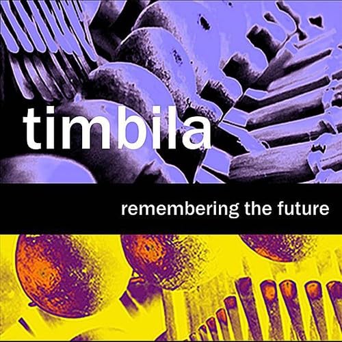 Remembering the Future Pop