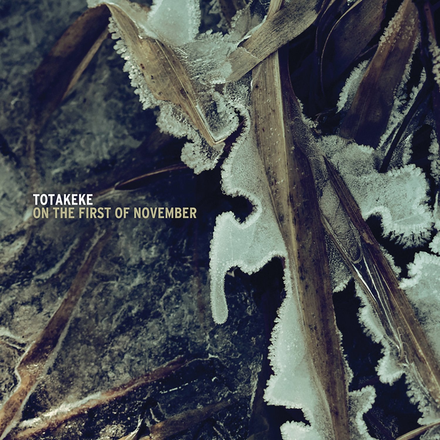 On the First of November Dance & Electronic