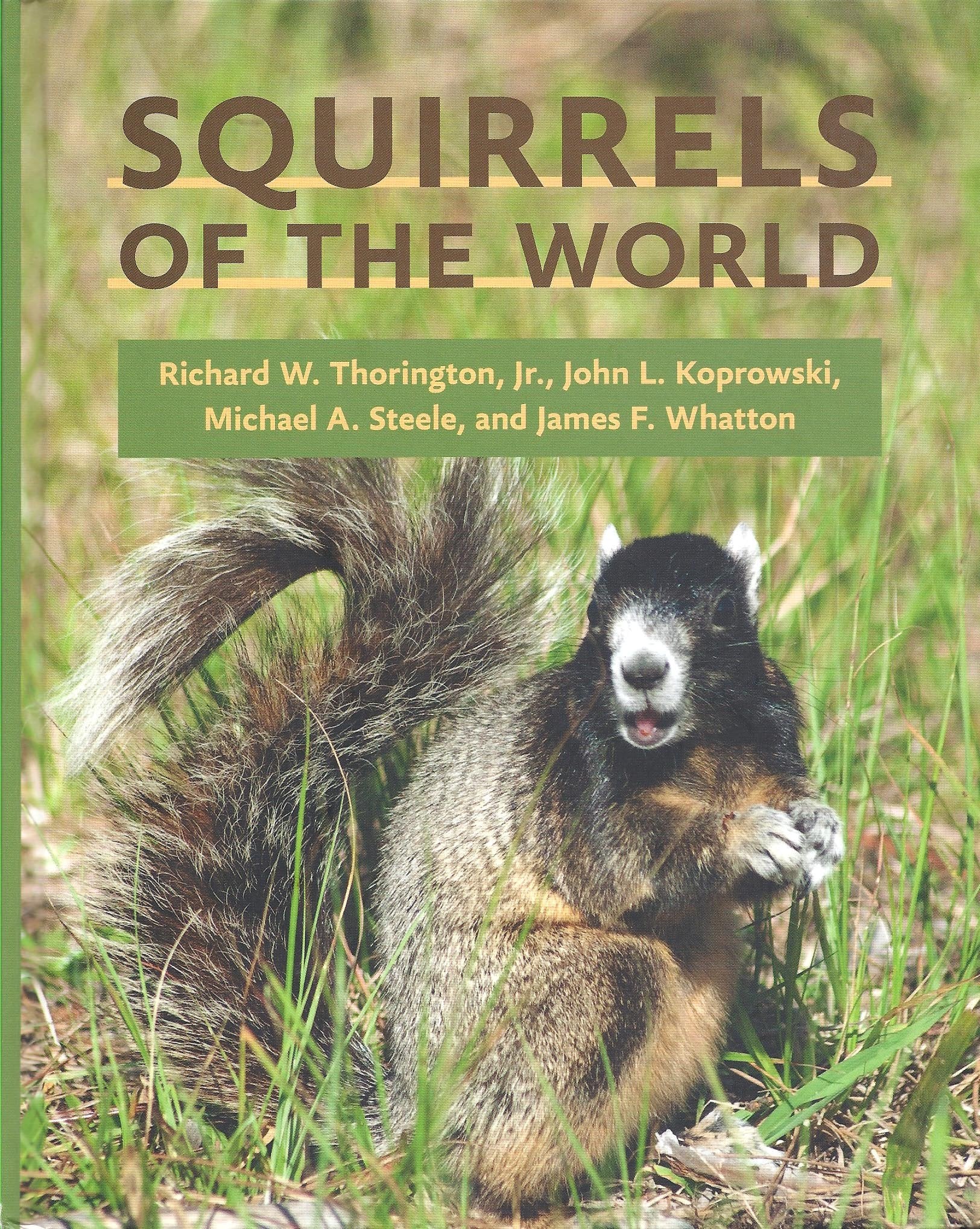 Squirrels of the World Mathematics