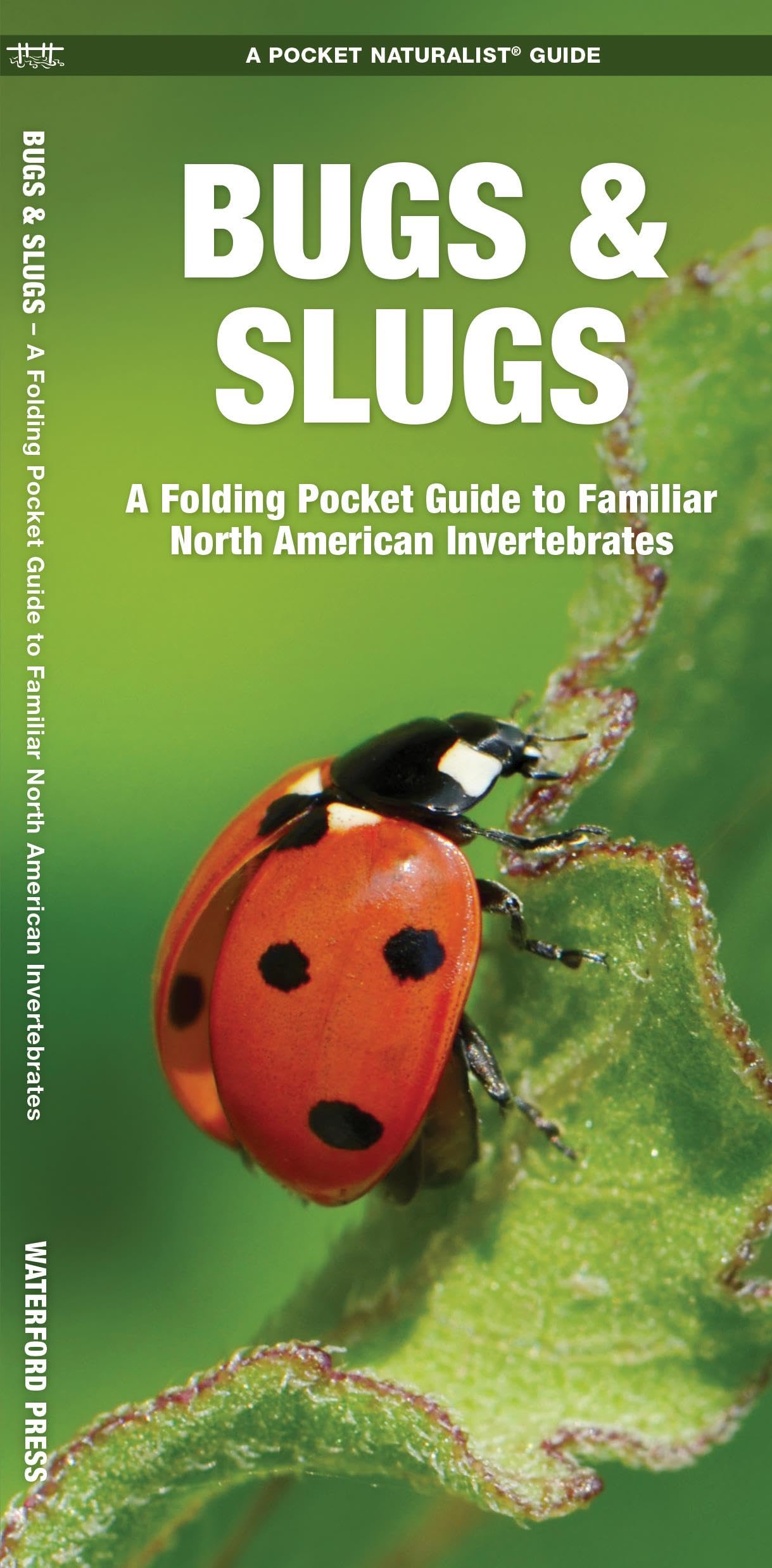 Bugs & Slugs, 2nd Ed: A Folding Pocket Guide to Familiar North American Invertebrates (Nature Observation North America) Garden & Plants