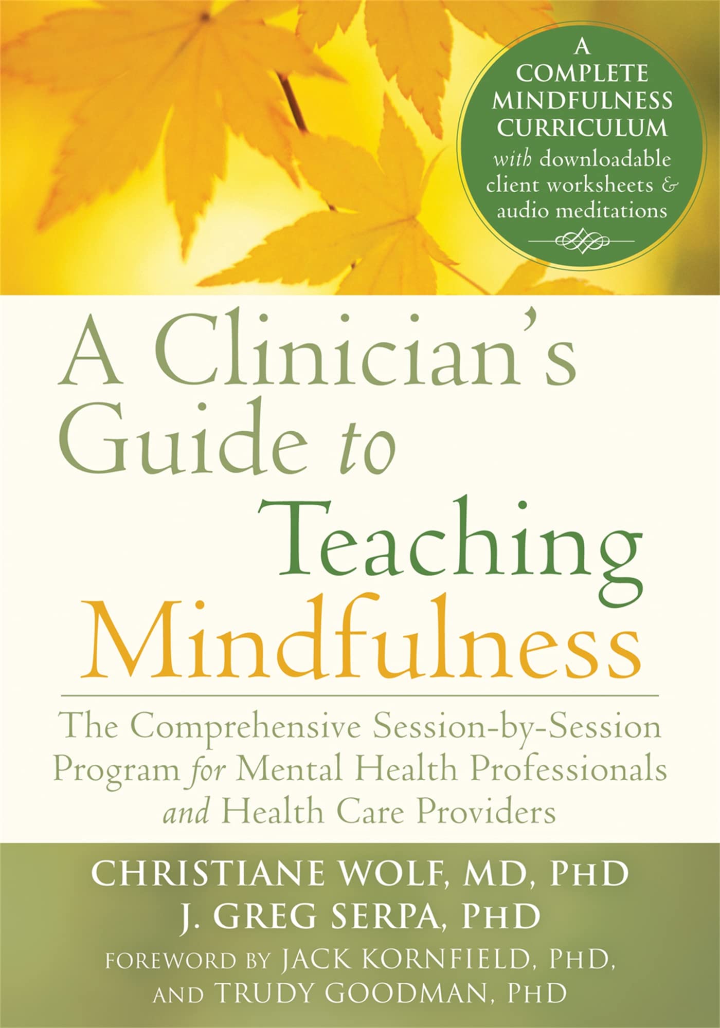 A Clinician's Guide to Teaching Mindfulness: The Comprehensive Session-by-Session Program for Mental Health Professionals and Health Care Providers Medicine
