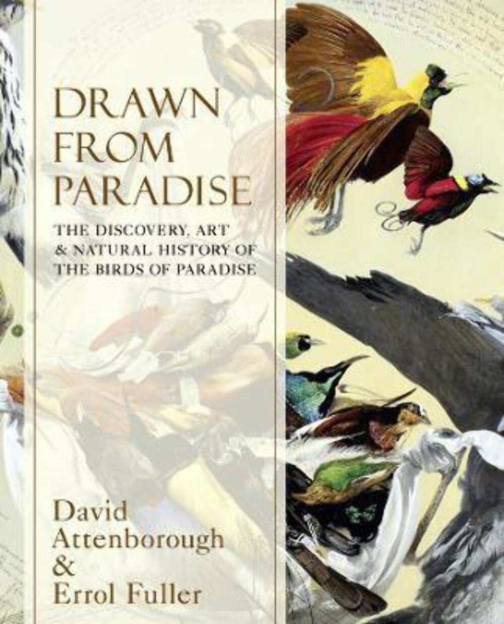 Drawn From Paradise: The Discovery, Art and Natural History of the Birds of Paradise Mathematics