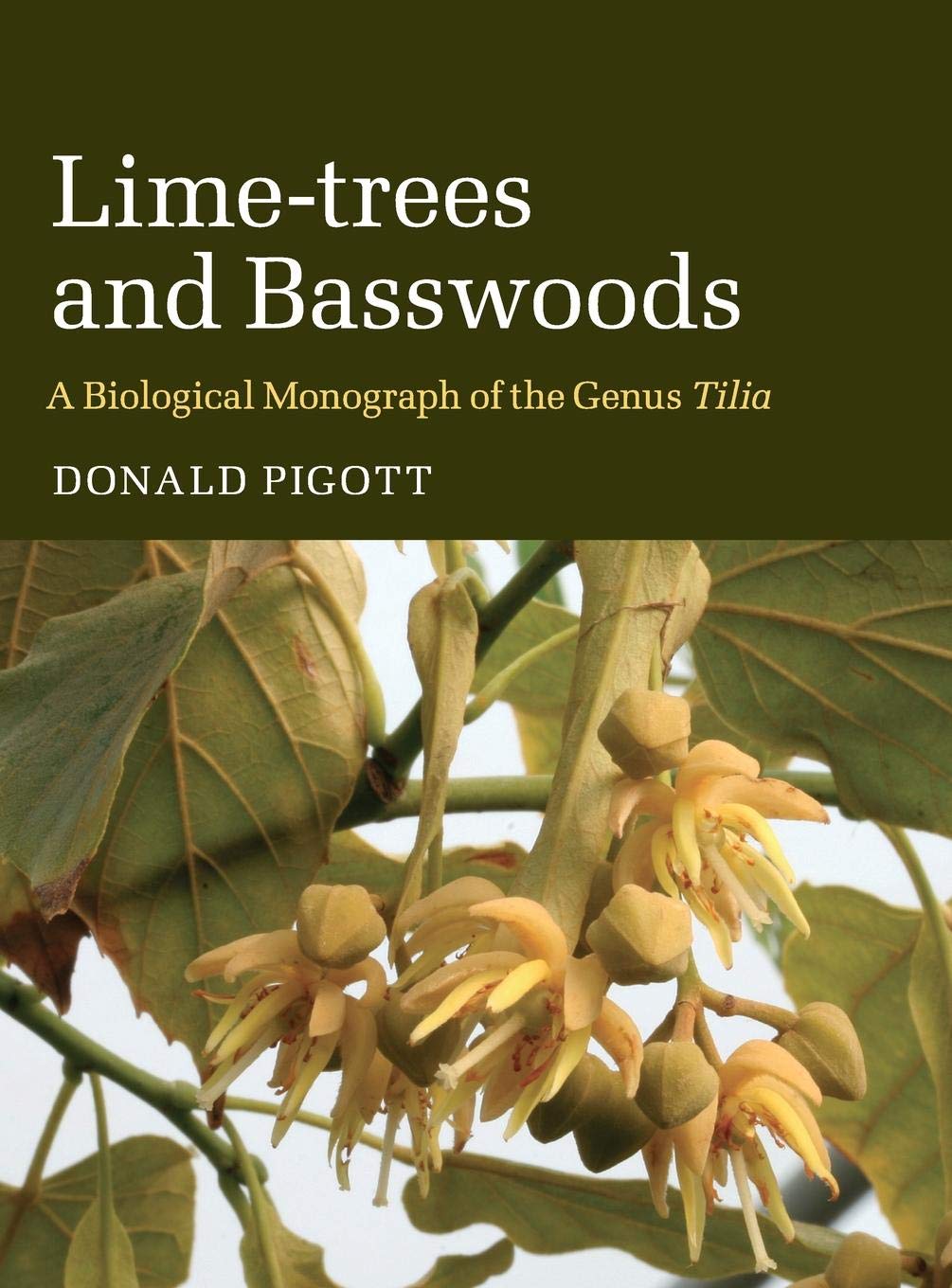 Lime-Trees and Basswoods: A Biological Monograph of the Genus Tilia Mathematics