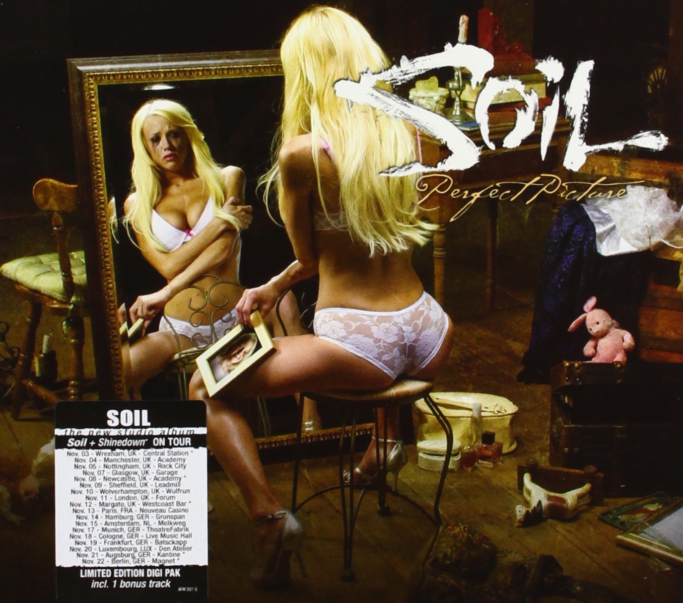 Picture Perfect (Ltd.Edition Digipack Incl.Bonus Metal & Hardrock