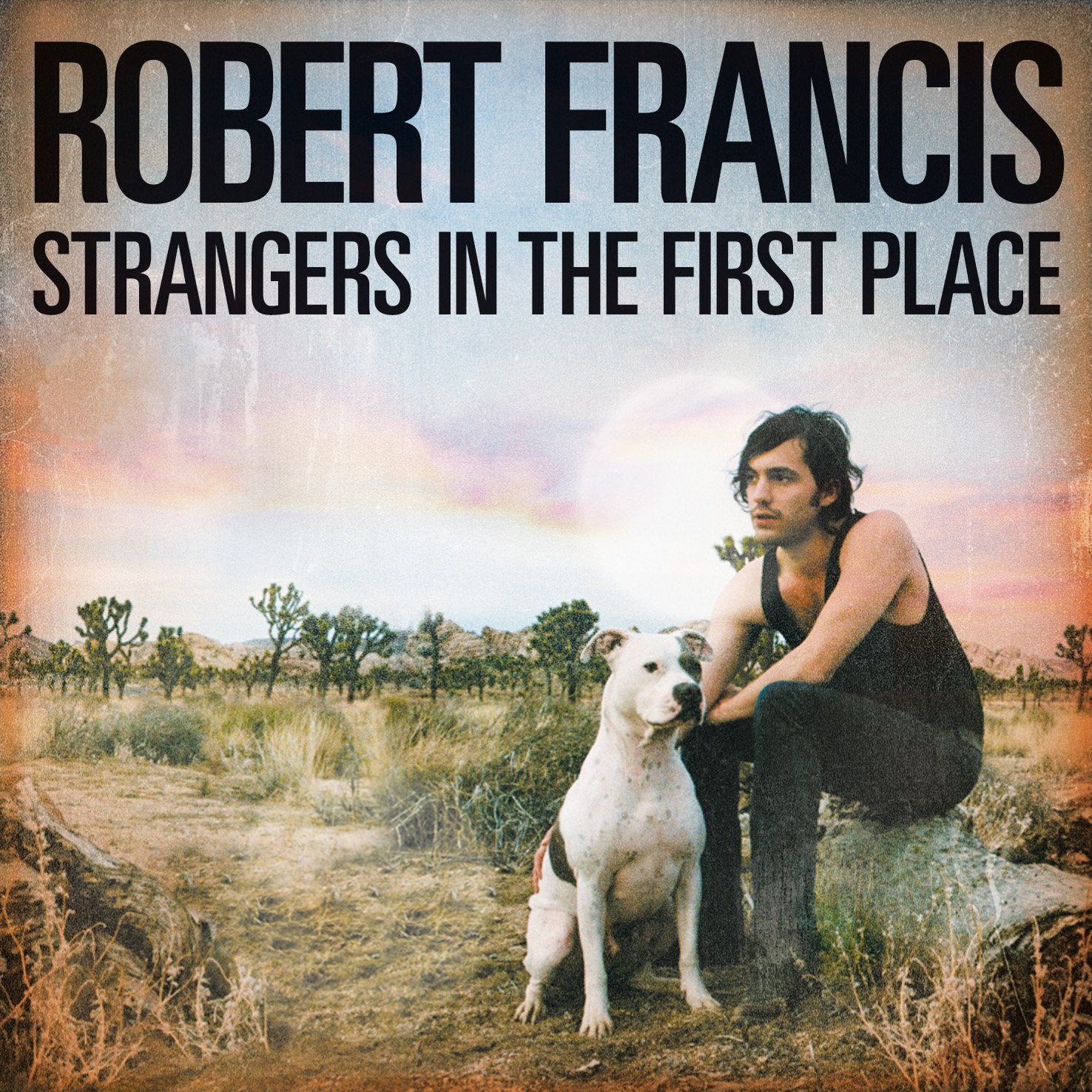 Product Image: Strangers in the first place