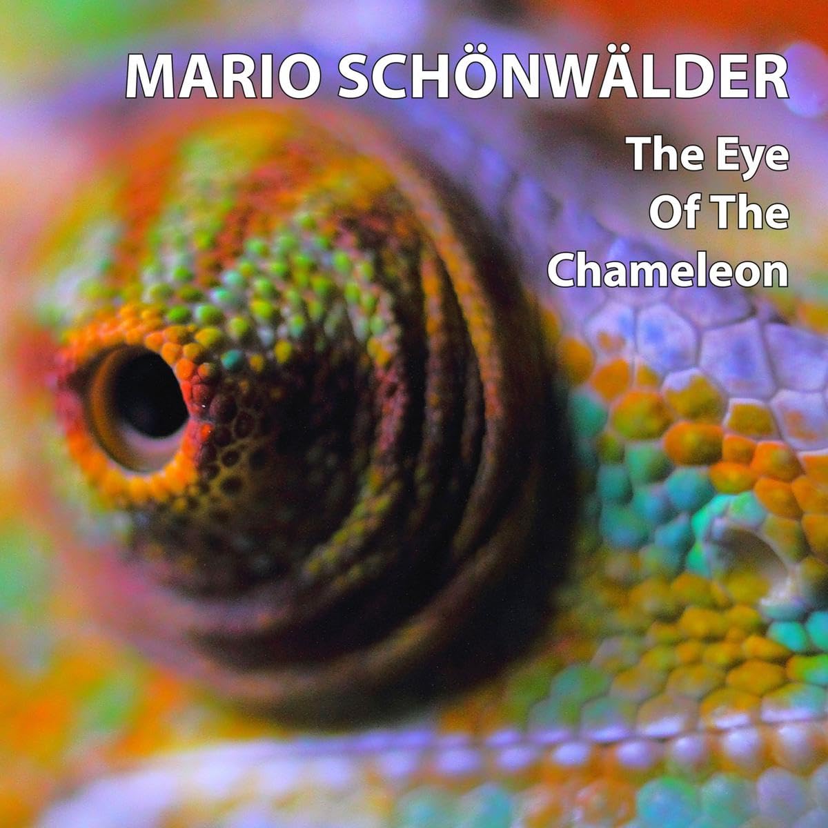 The Eye Of The Chameleon Rock