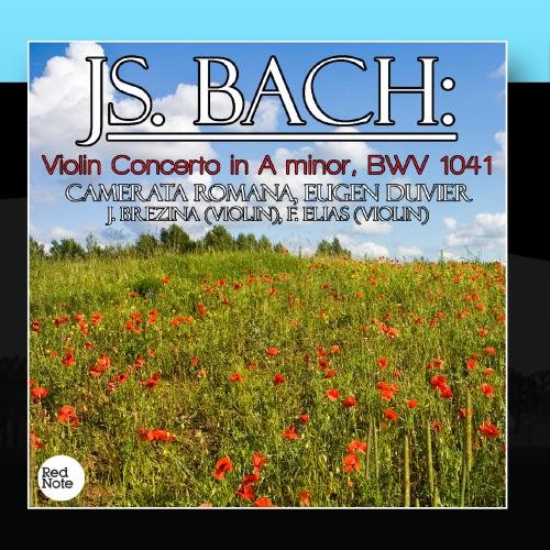 Bach: Violin Concerto in A minor, BWV 1041 Music