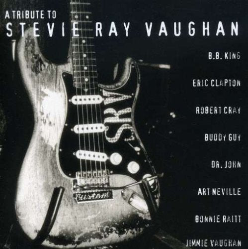 Tribute to Stevie Ray Vaughan Blues