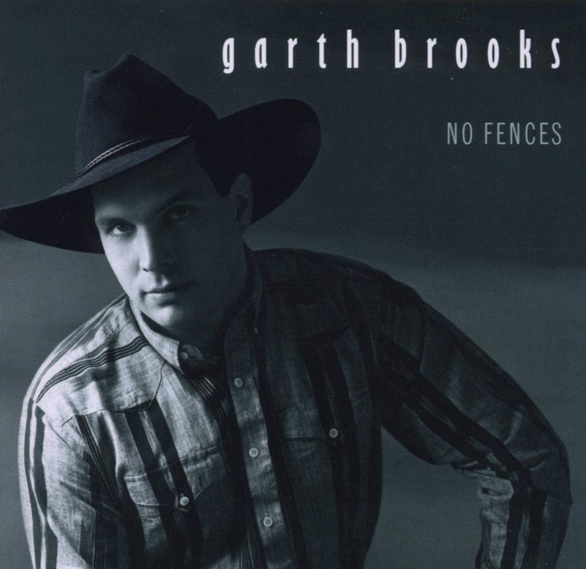 No Fences Pop