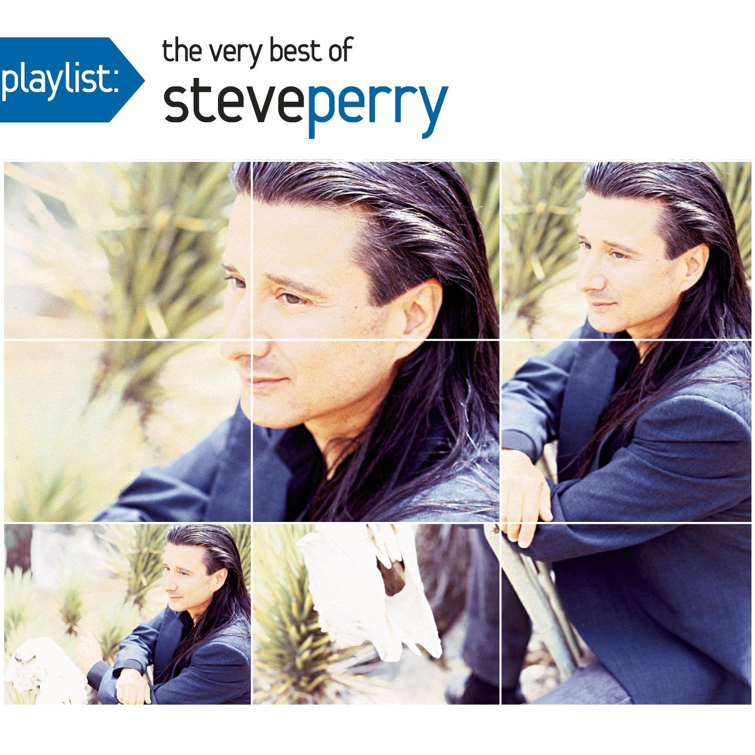 Playlist: the Very Best of Steve Perry Pop