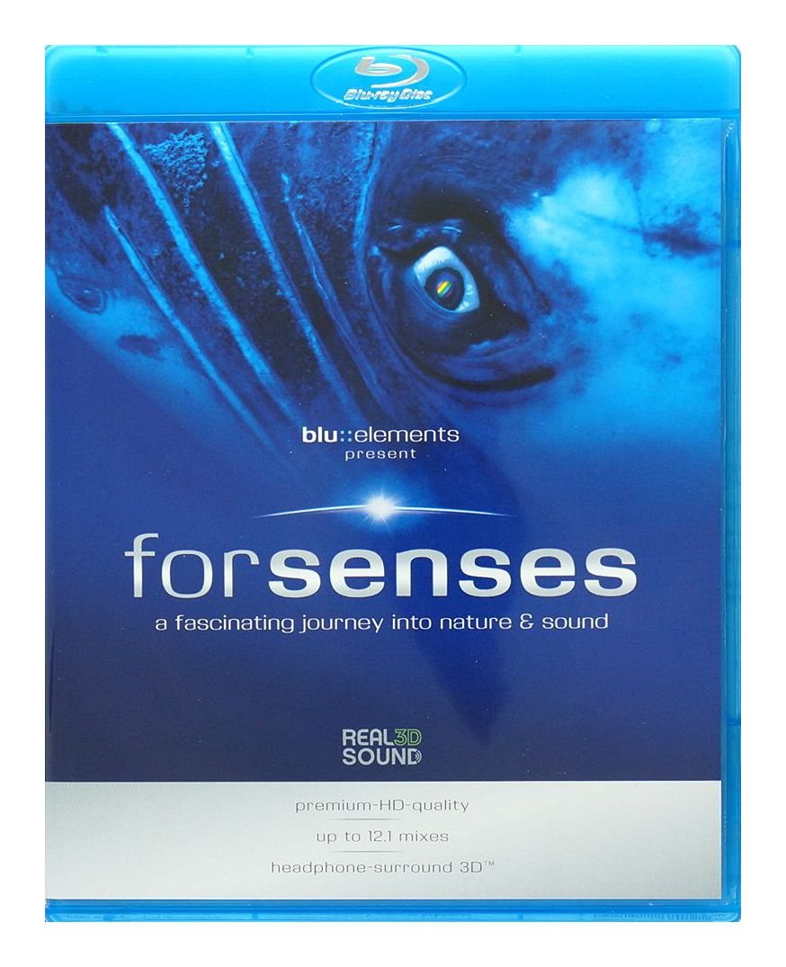 Product Image: blu::elements project: Forsenses