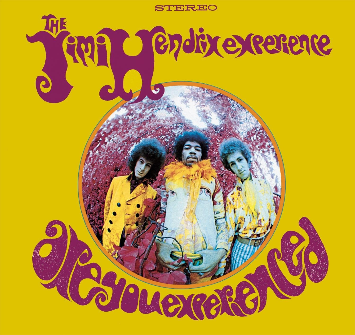 Are You Experienced Pop