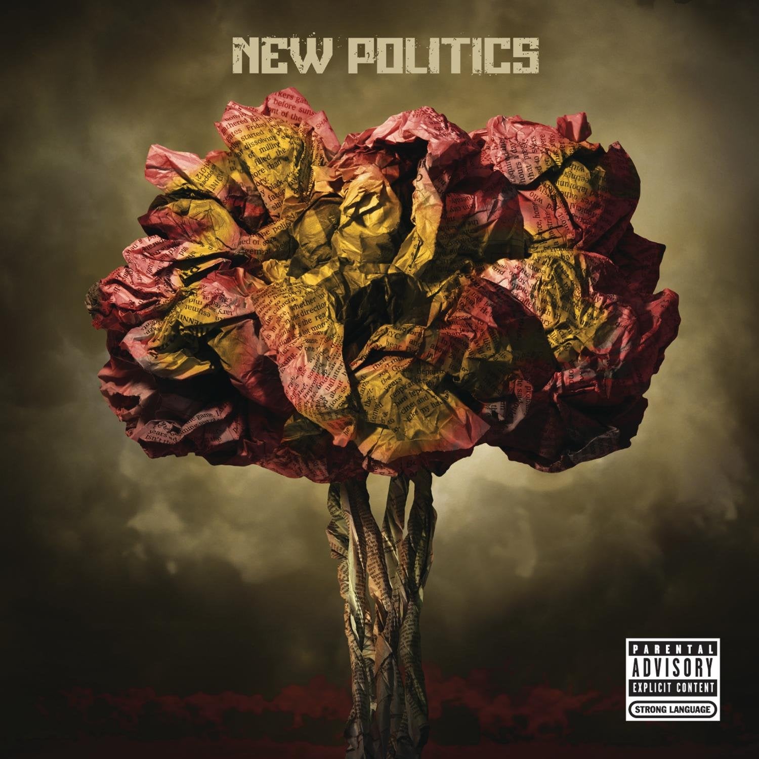 New Politics Rock