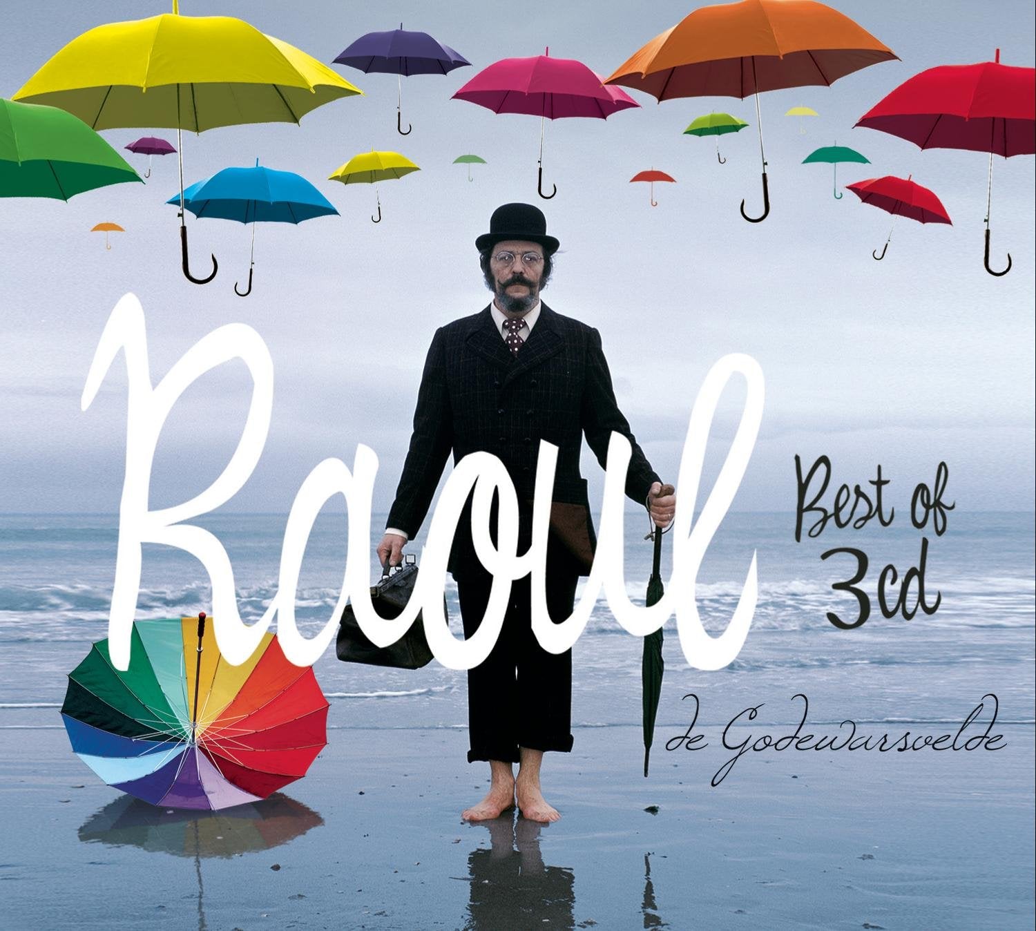 Best of Raoul de Godewarsvelde Pop