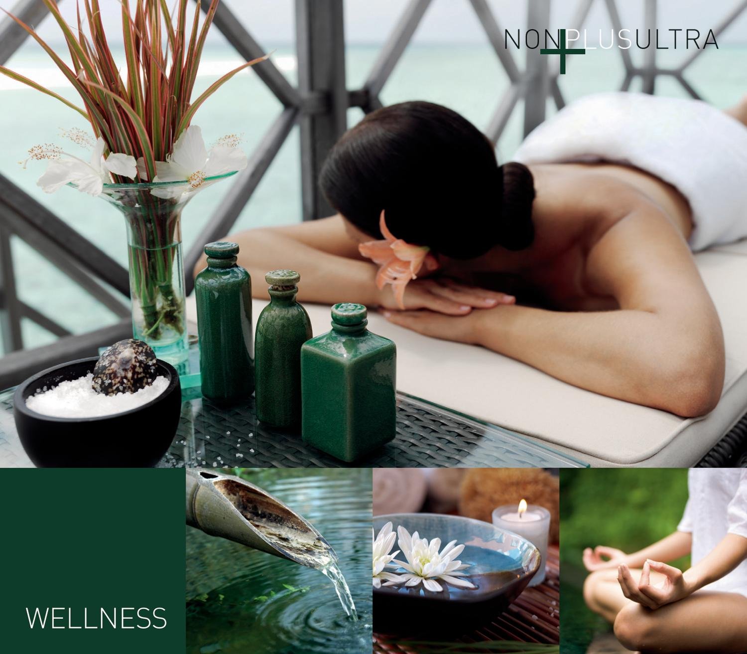 Nonplusultra-Wellness Pop