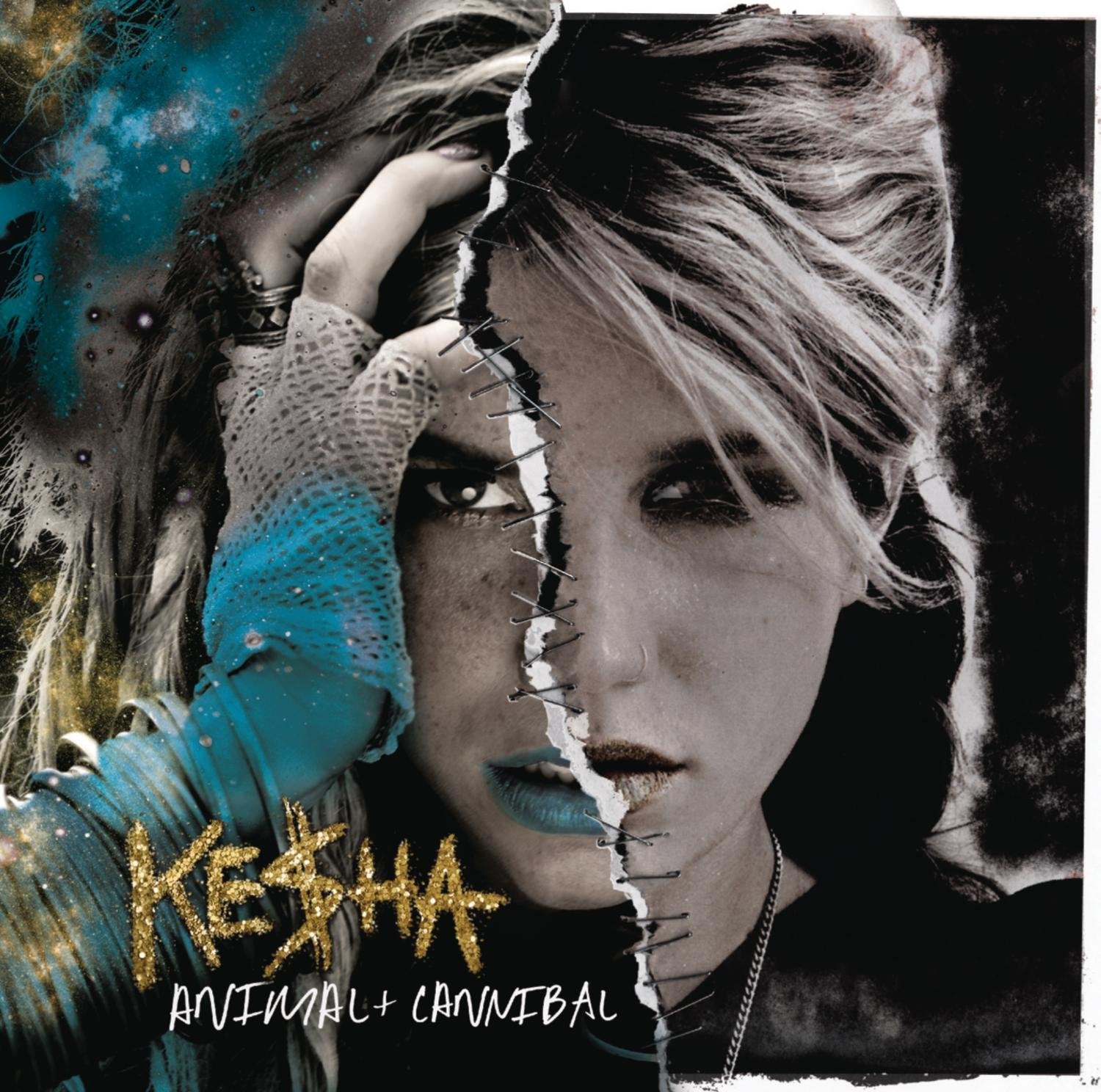 Product Image: Animal+Cannibal (Deluxe Edition)