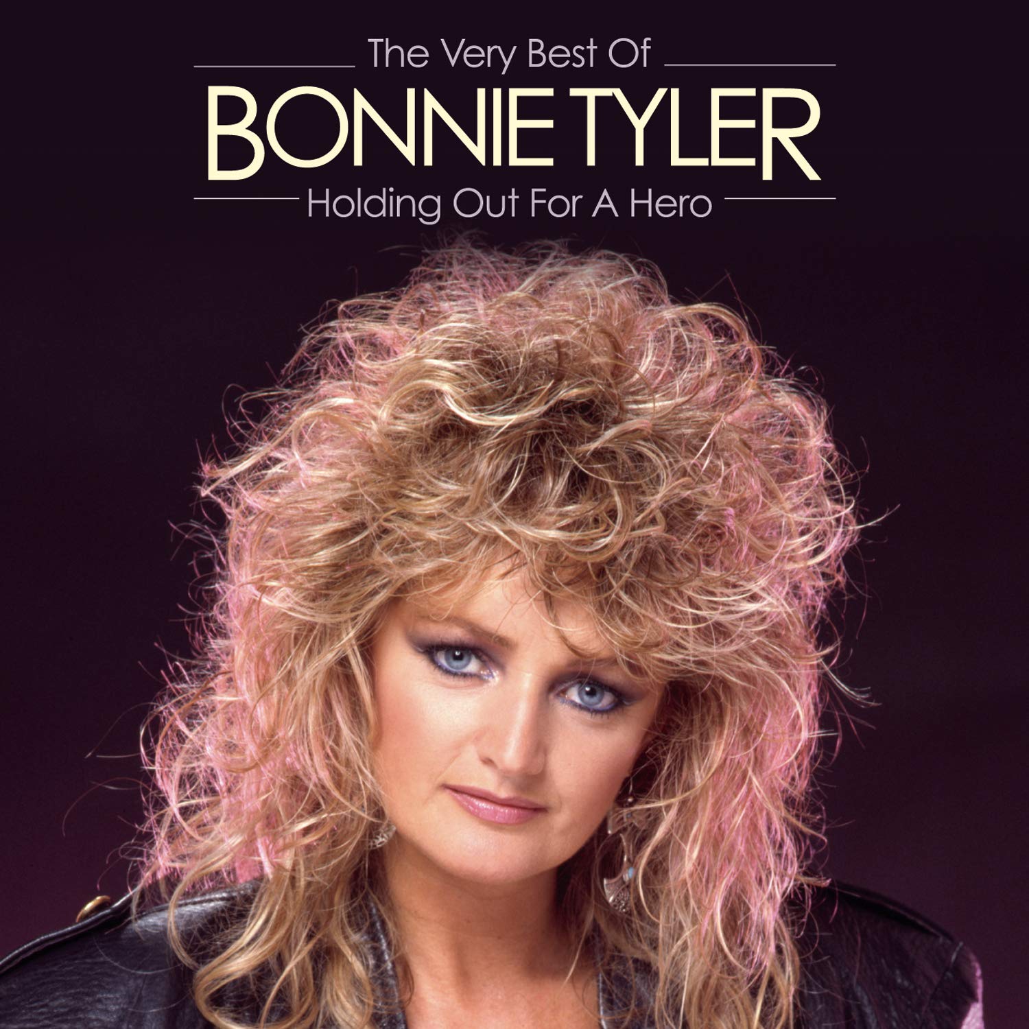 Holding Out for a Hero: the Very Best of Pop