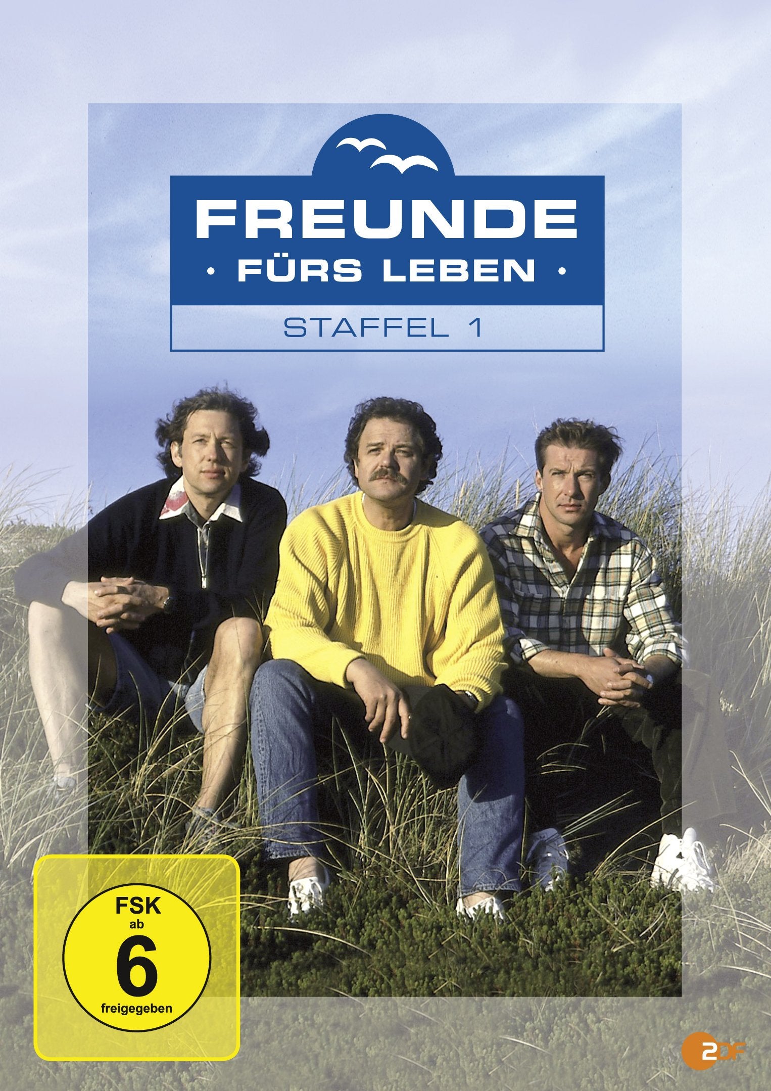 Freunde fürs Leben - Staffel 1 Box sets