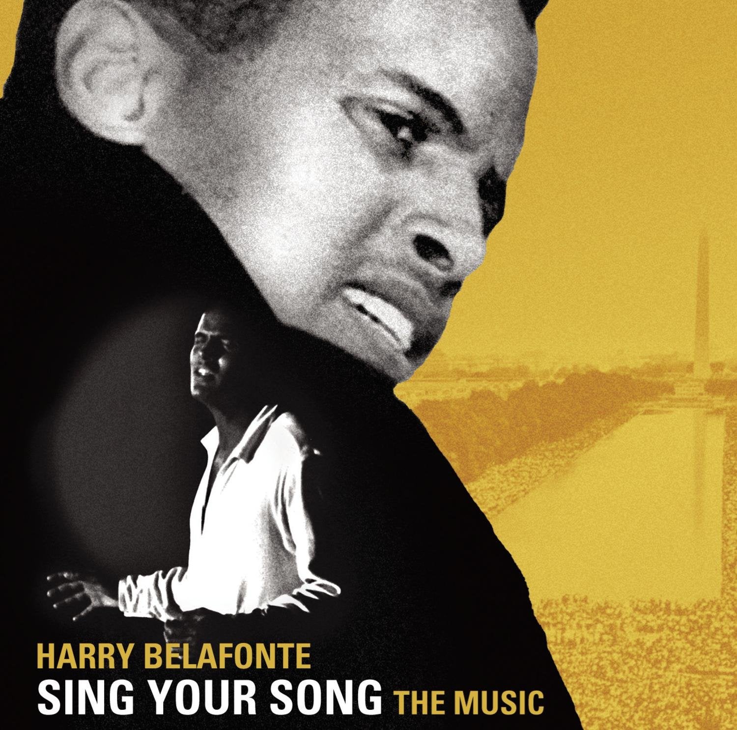 Sing Your Song: The Music Pop