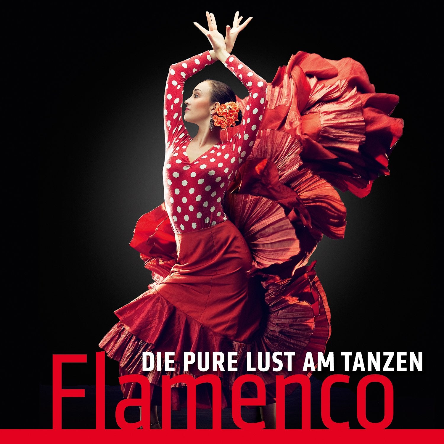Die Pure Lust am Tanzen-Flamenco Music