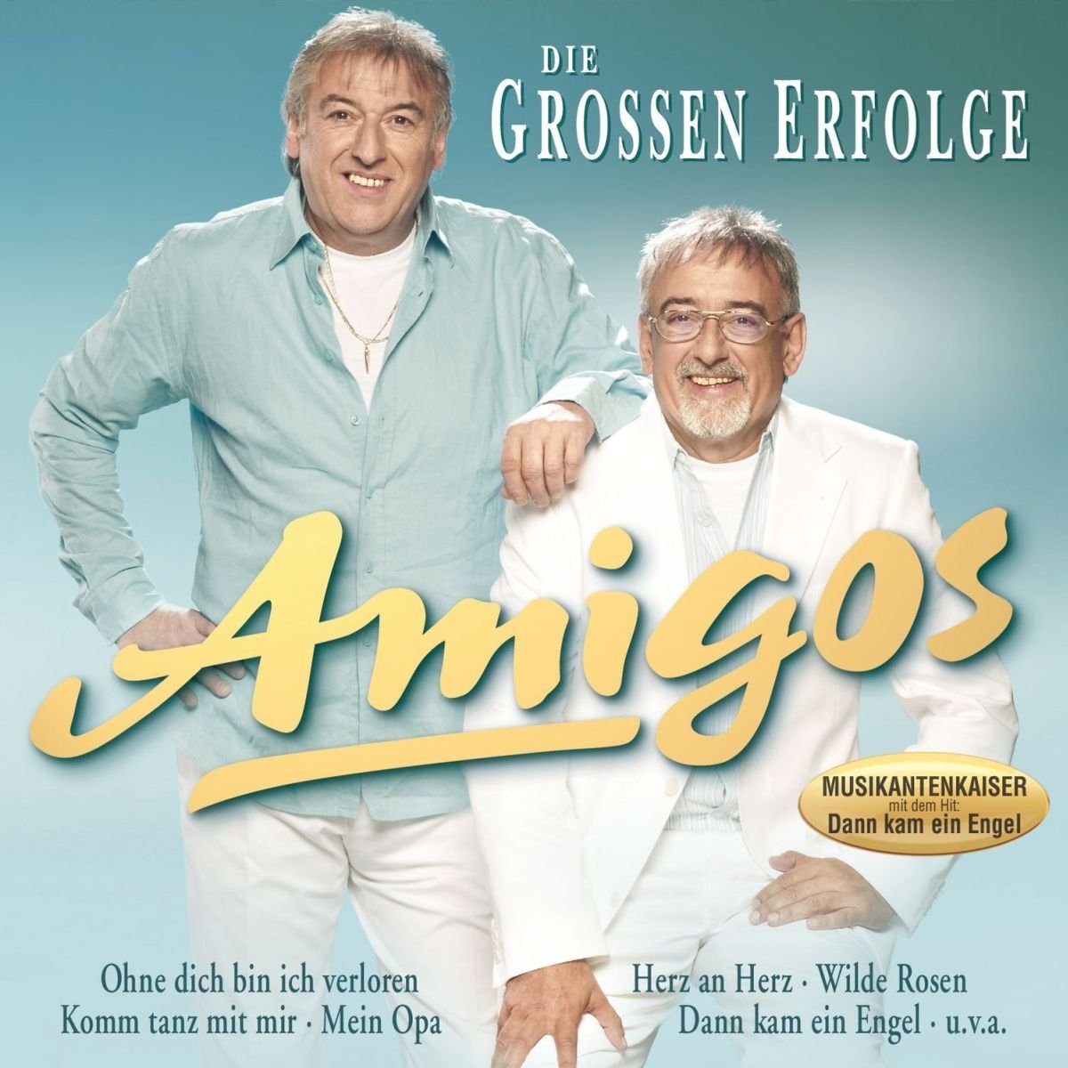 Product Image: Die grossen Erfolge