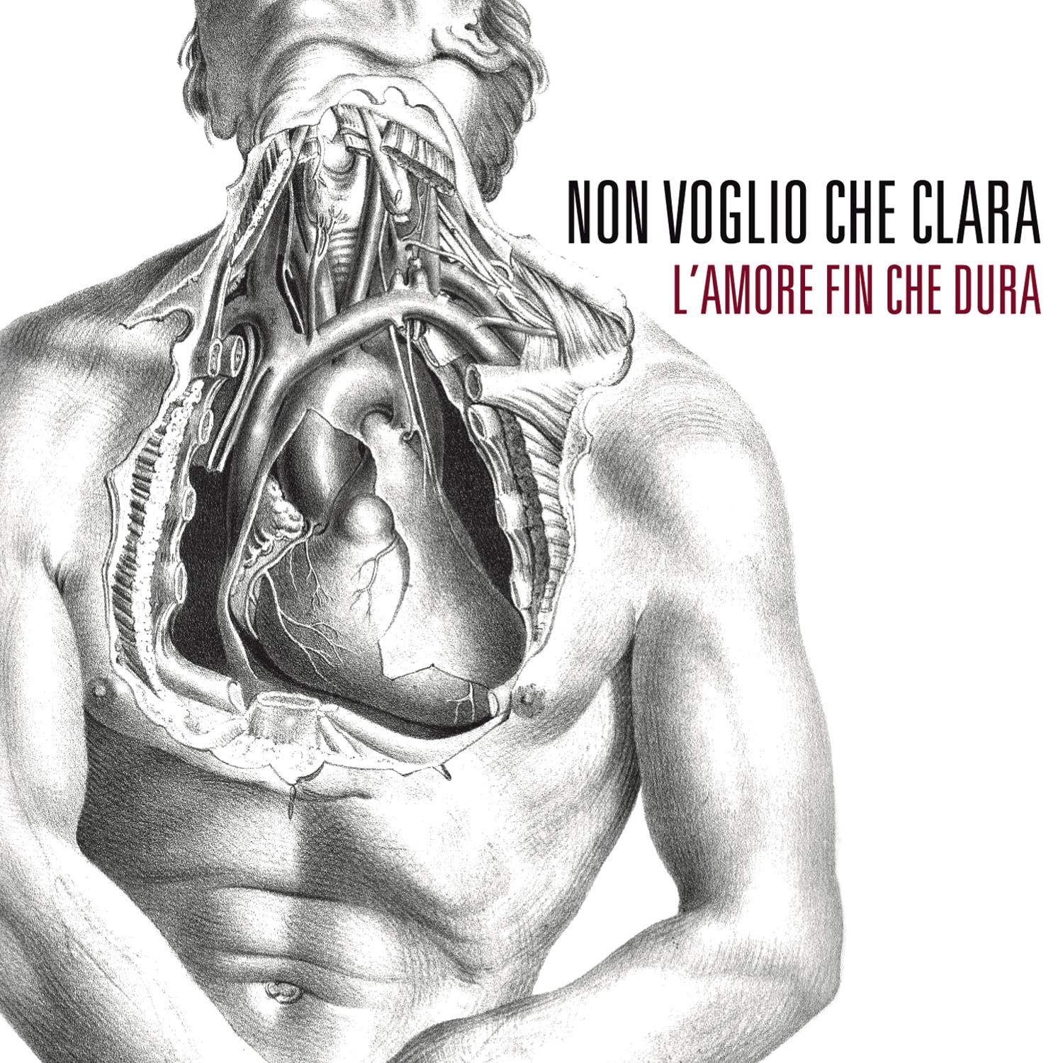 L'amore Fin Che Dura Pop