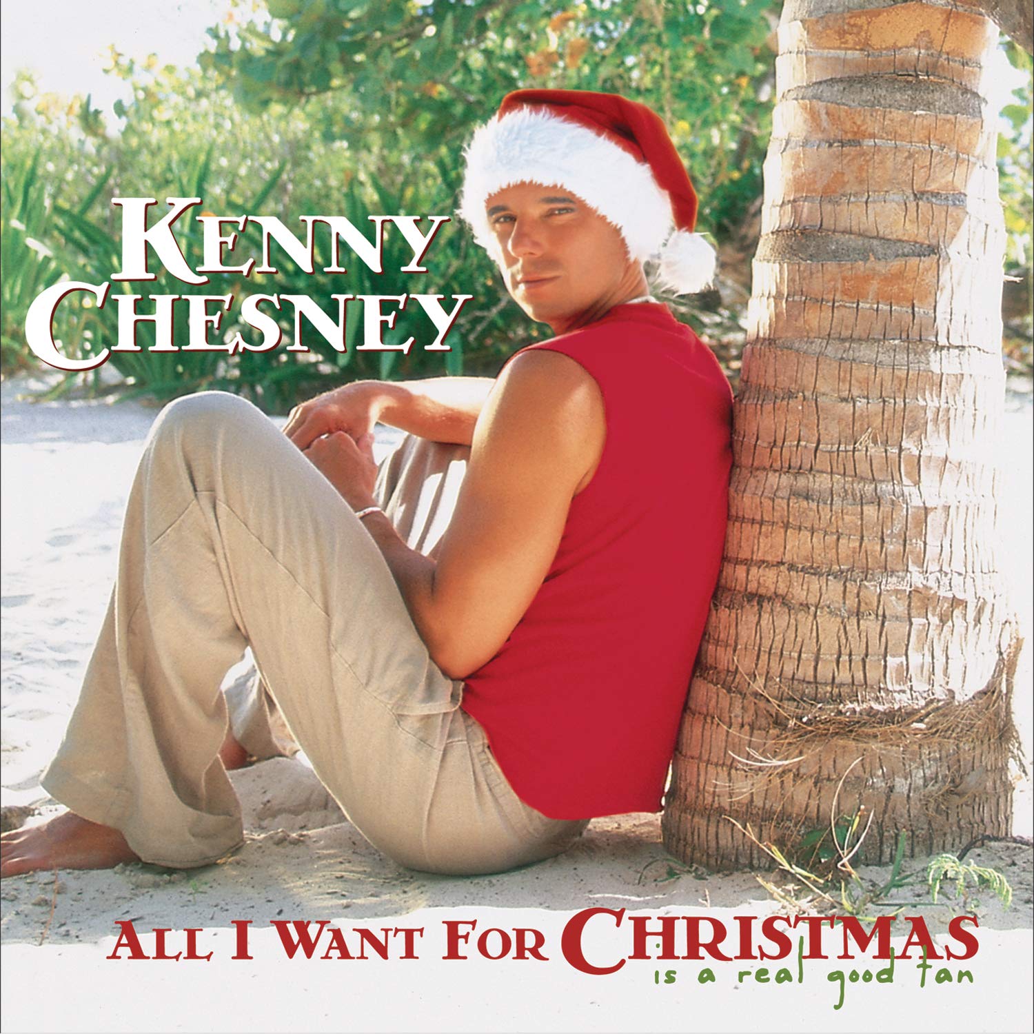 All I Want for Christmas Is a Other music genres