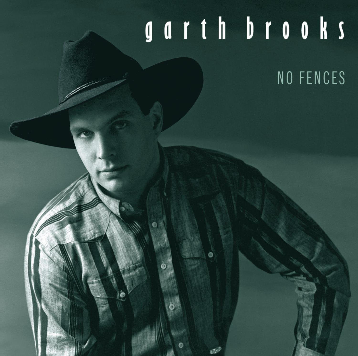 Product Image: No Fences