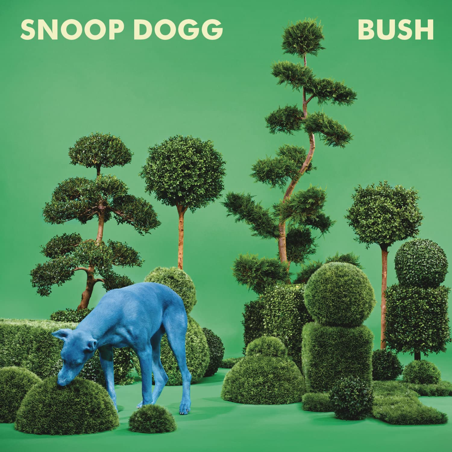 Product Image: Bush