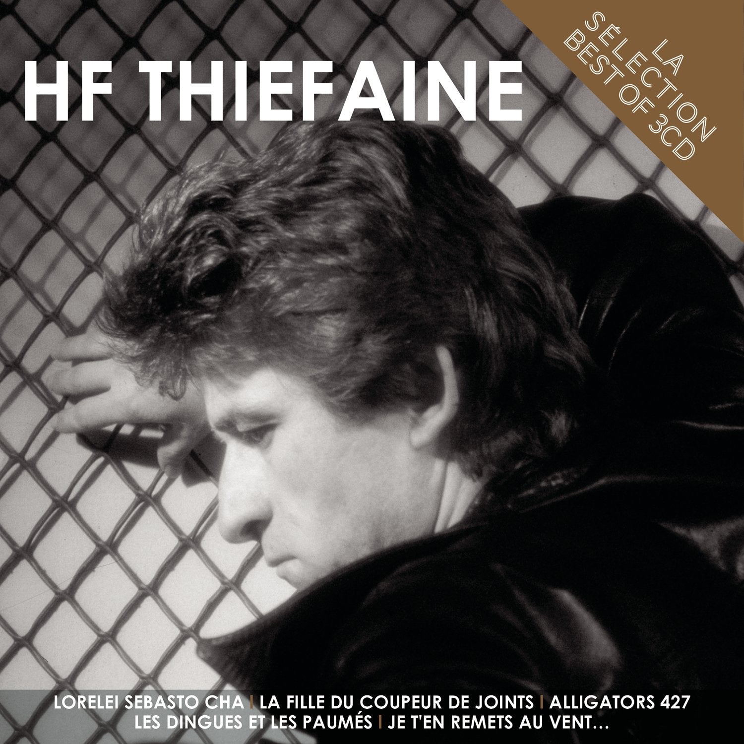 La Sélection Hubert Felix Thiefaine cd
