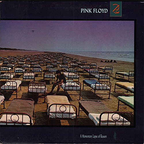PINK FLOYD - A MOMENTARY LAPSE OF REASON (REMASTERED) (1 LP) Books