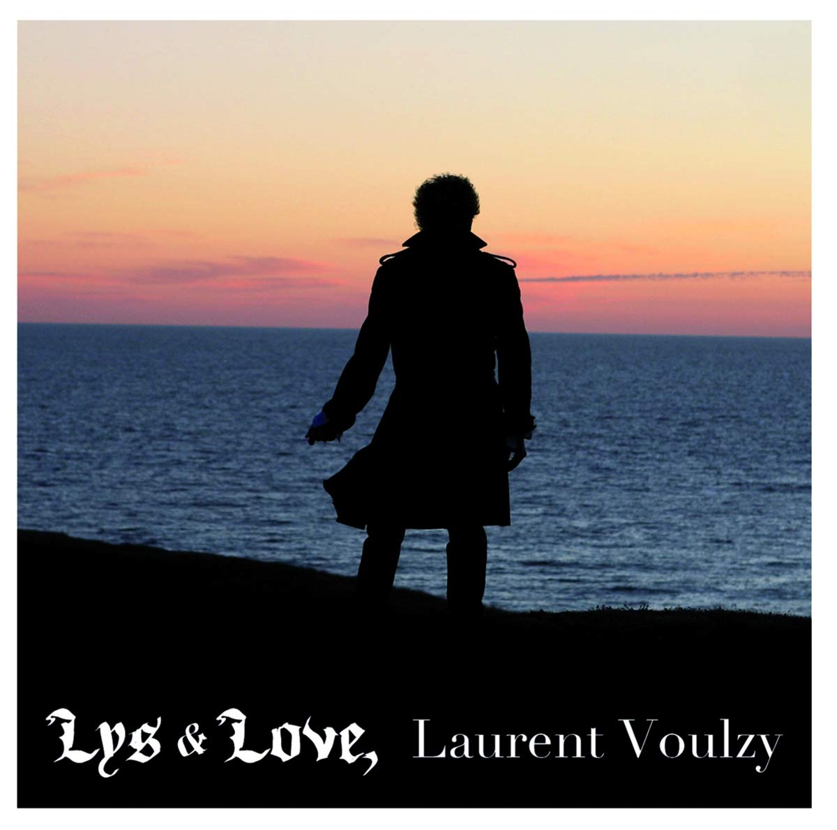 Laurent Voulzy - Lys & Love Pop