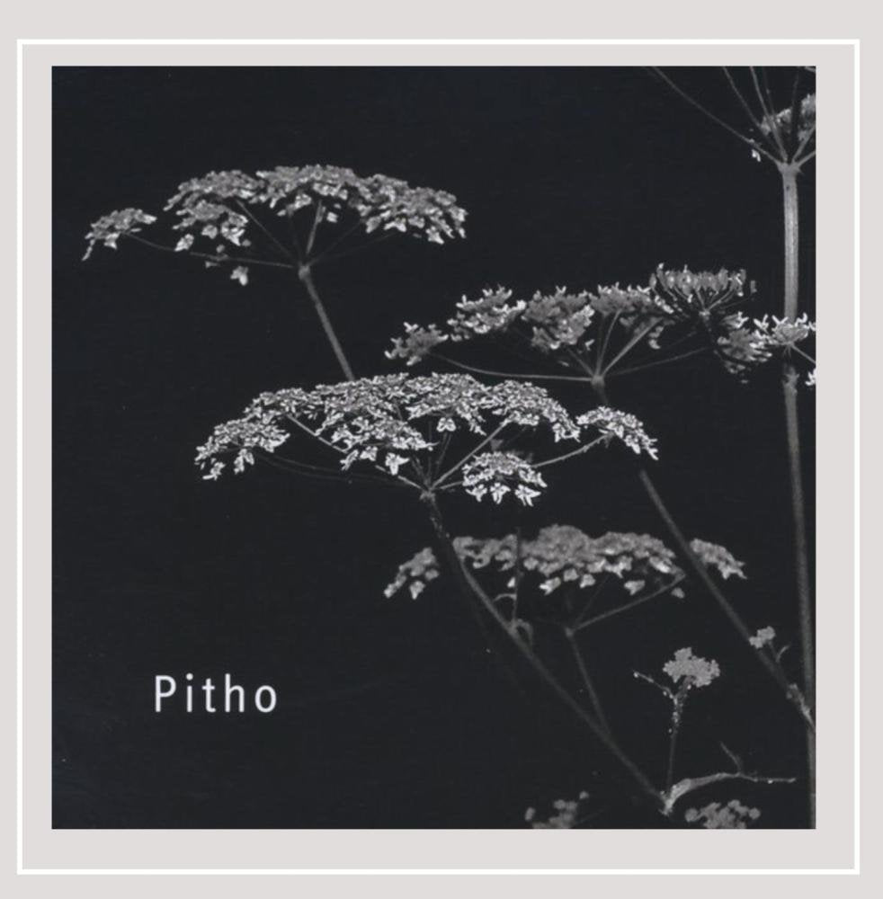 Pitho Pop
