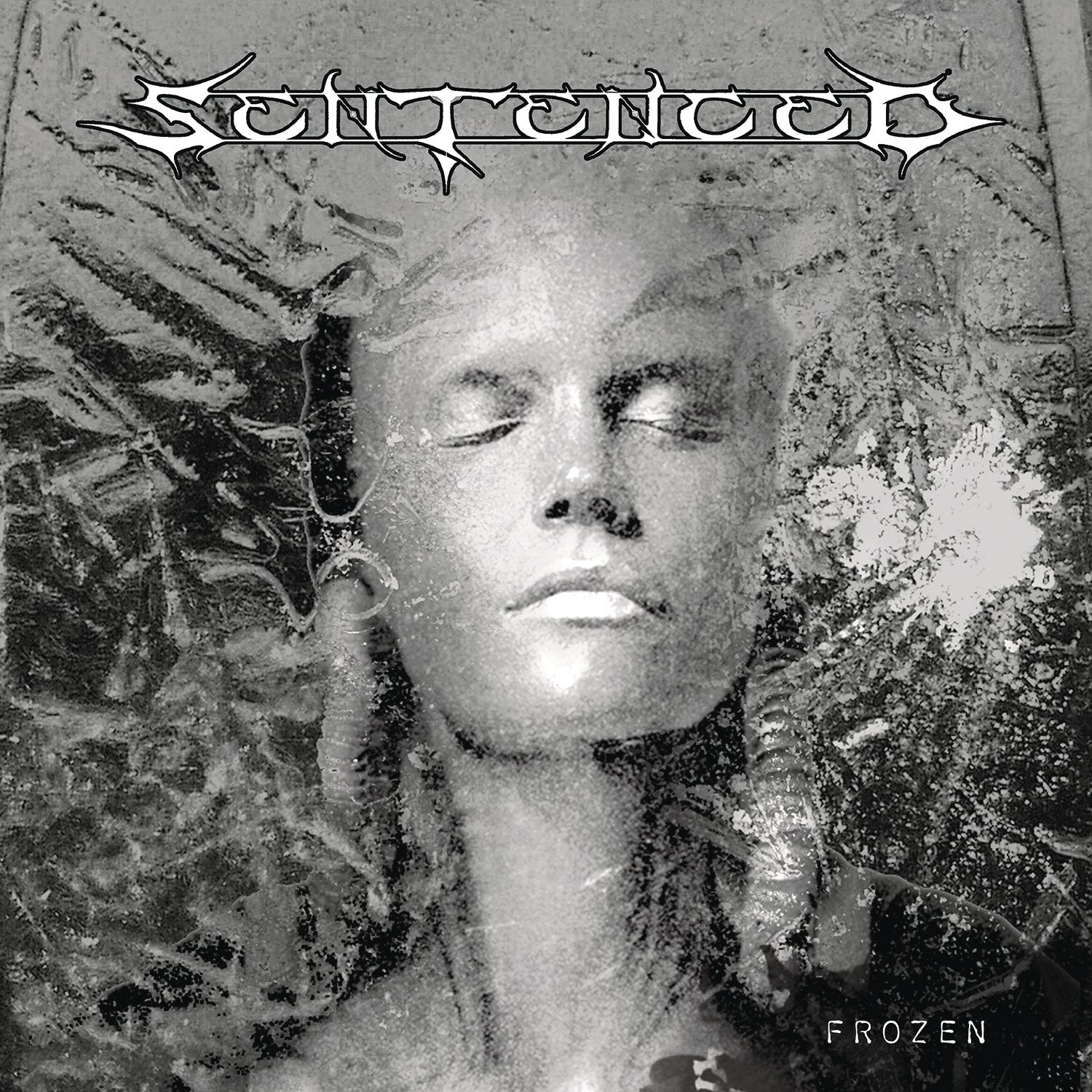 Frozen (Re-Issue 2016) (Schwarze LP im Klappcover) Alternative & Indie