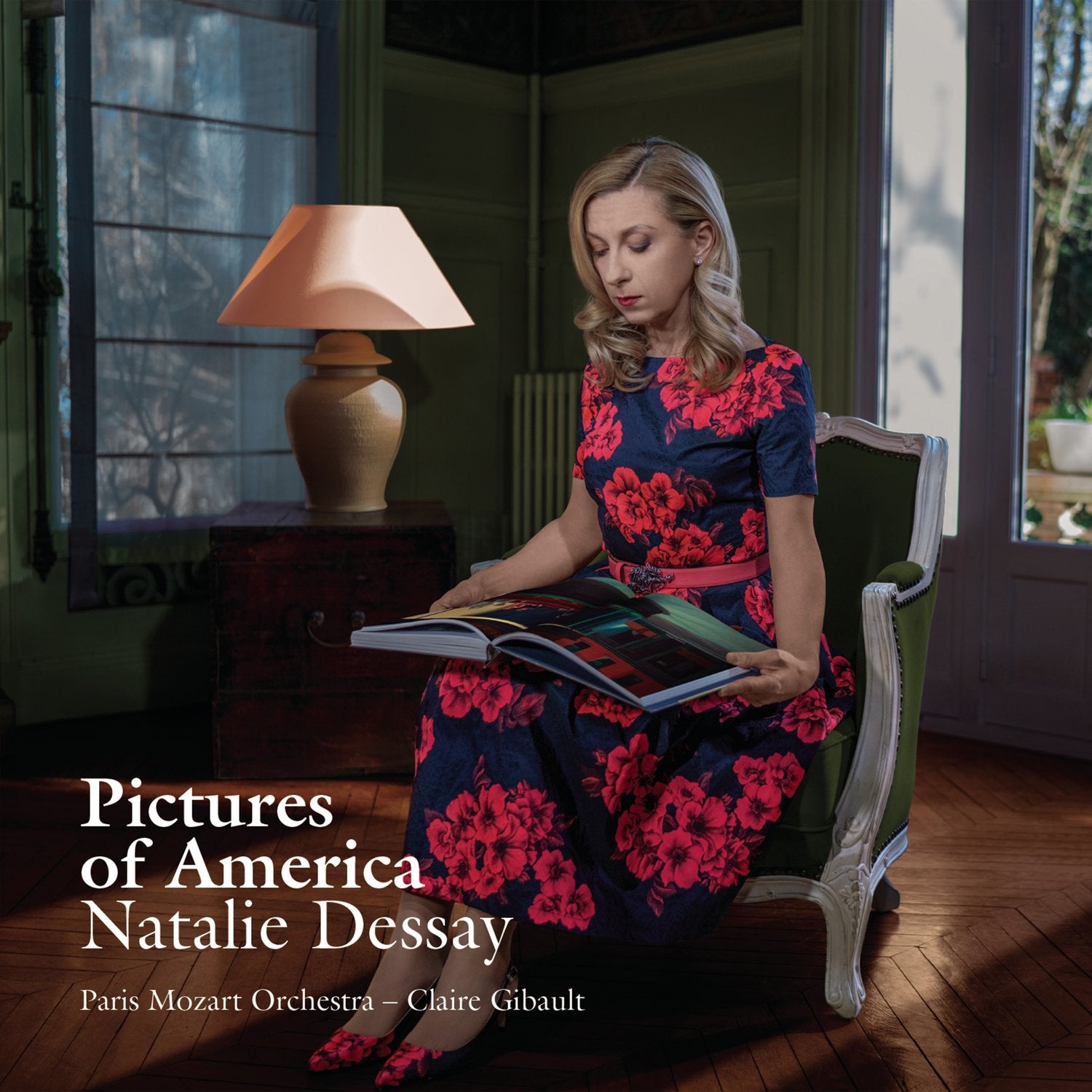 Pictures Of America cd