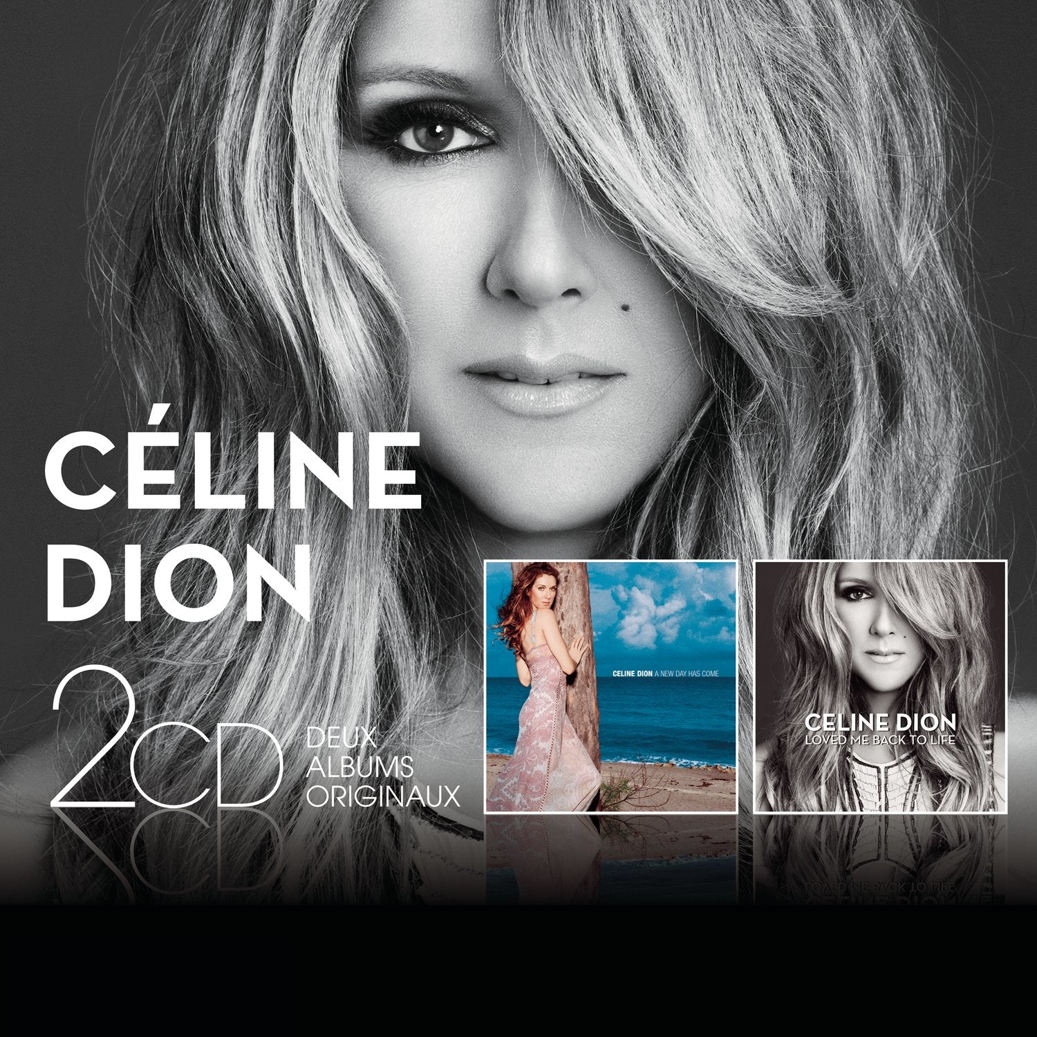 Celine Dion - Loved Me Back To Life / A New Day has Come Music