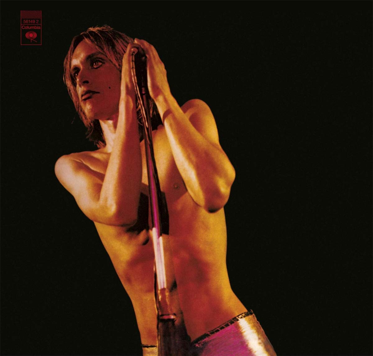 Iggy & The Stooges - Raw Power Alternative & Indie