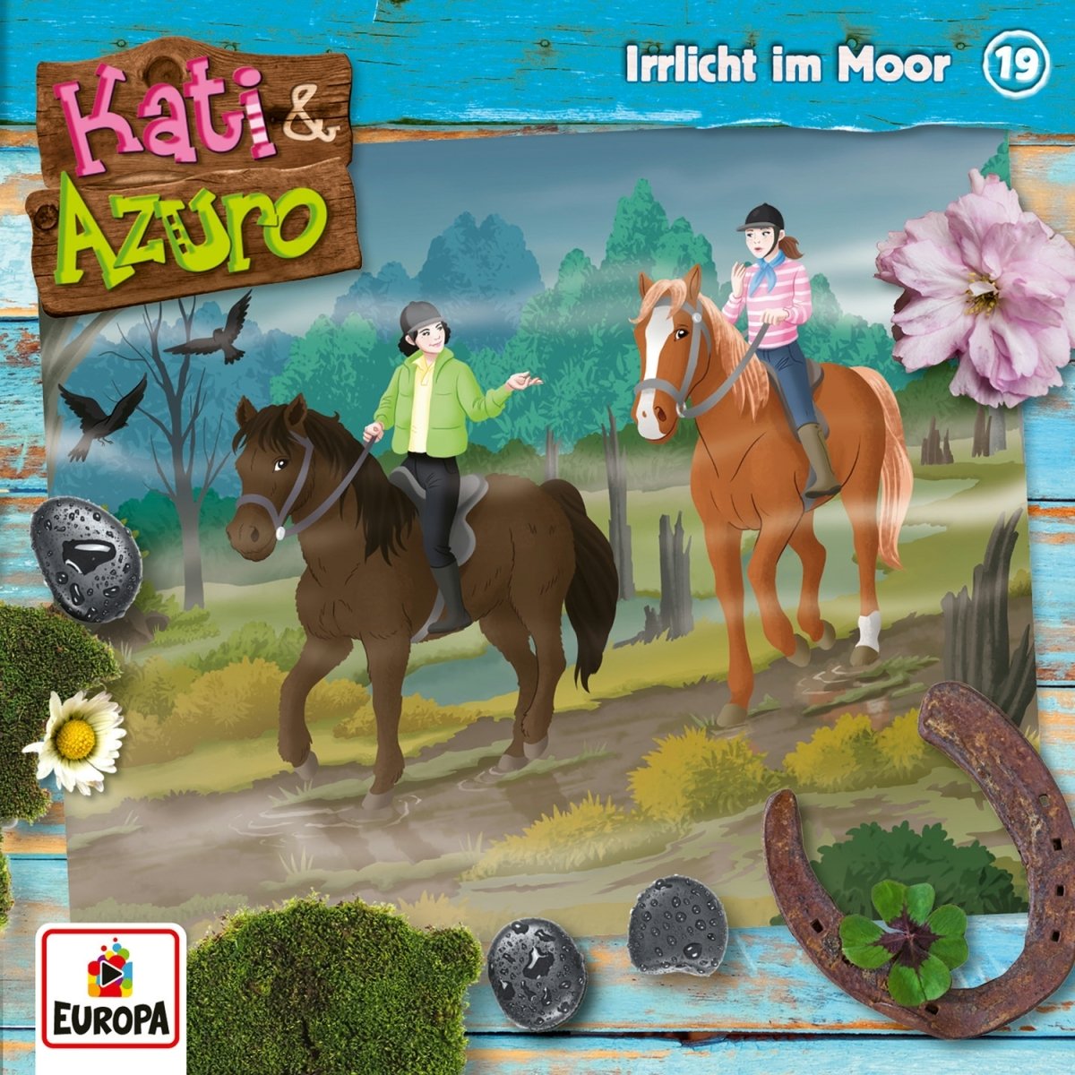 Product Image: 019/Irrlicht im Moor