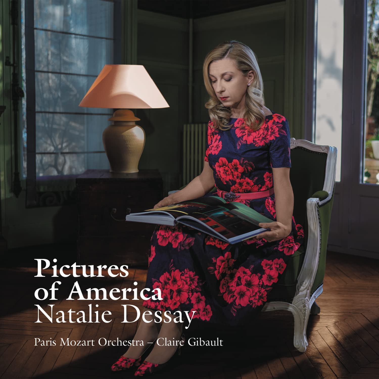 Pictures of America cd