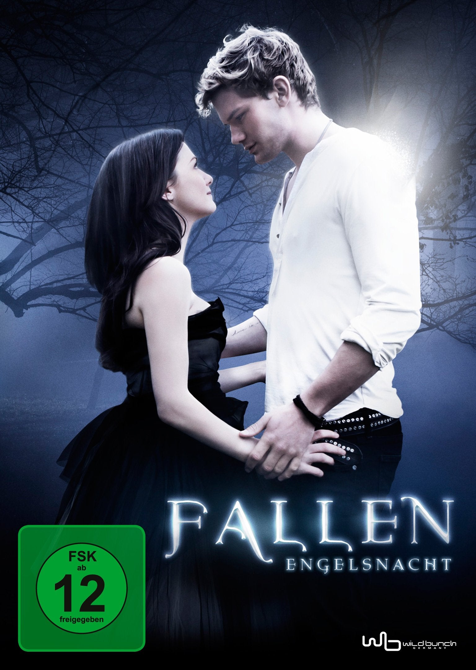 Product Image: Fallen - Engelsnacht