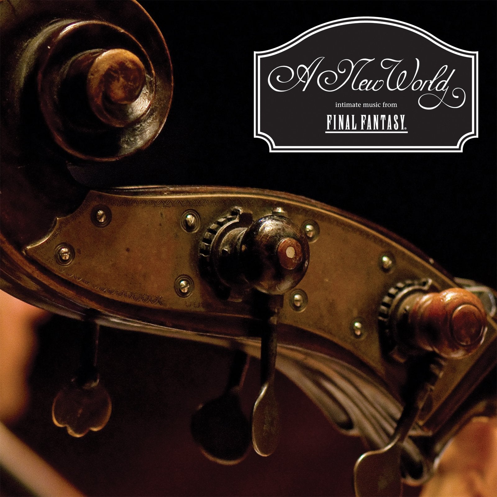 A New World: intimate music from FINAL FANTASY Music