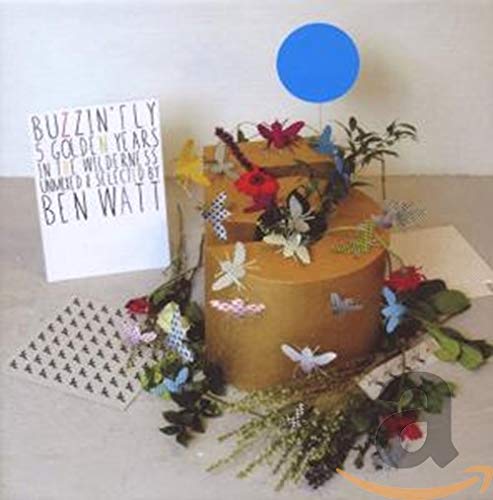 Buzzin' Fly - 5 Golden Years in the Wilderness Dance & Electronic