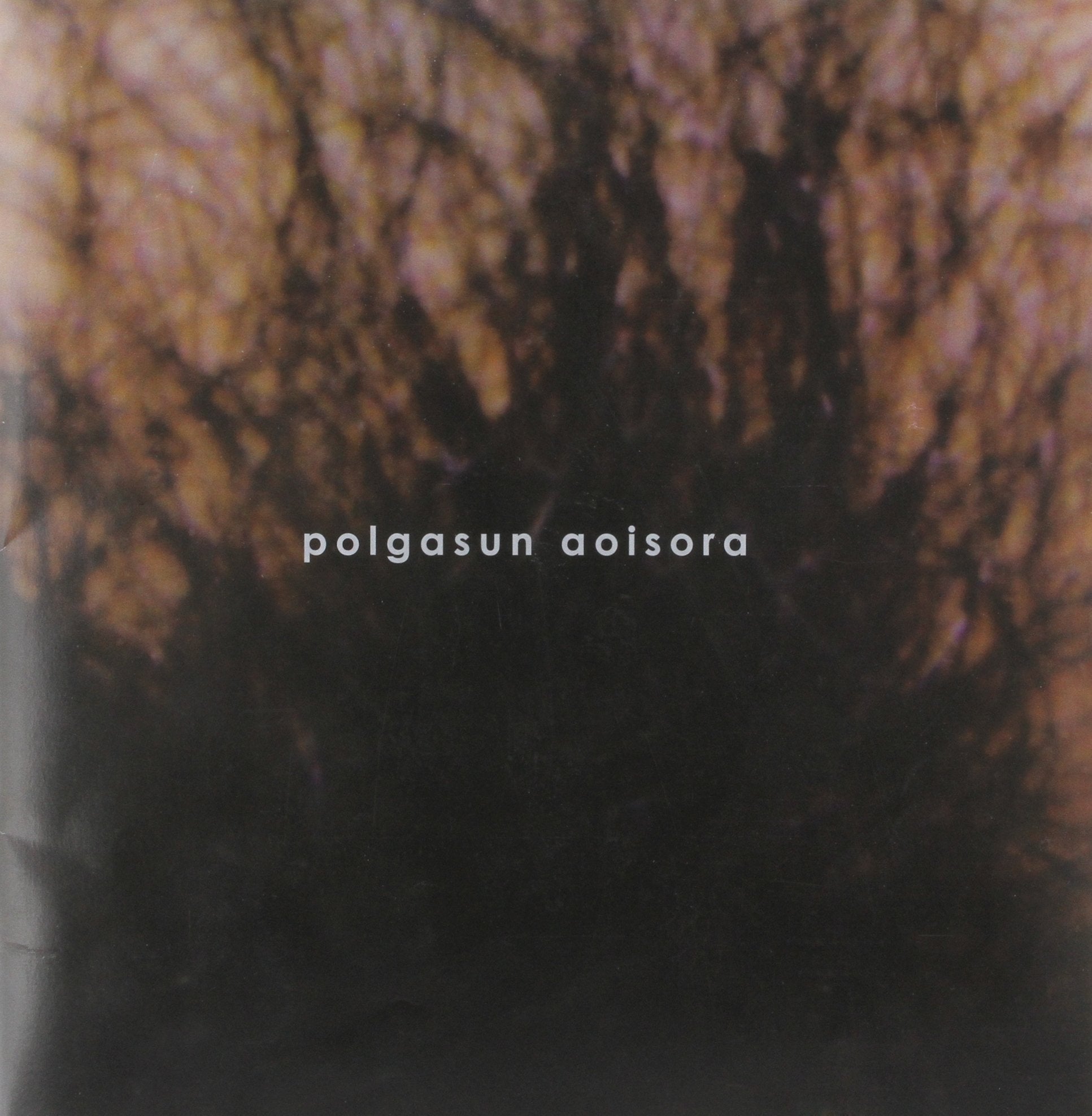 Polgasun Aoisora Paperback - June, 2006 Sora Aoi Books