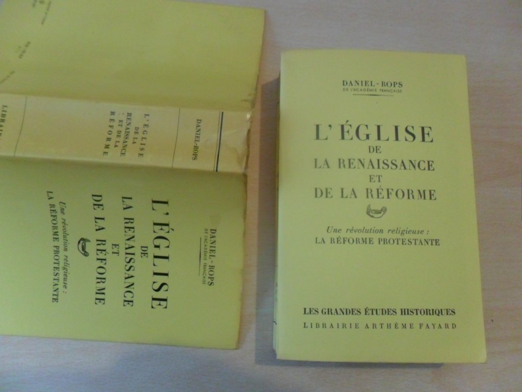 L'Eglise de la Renaissance et de la Réforme, Une ère de renouveau : La réforme catholique book