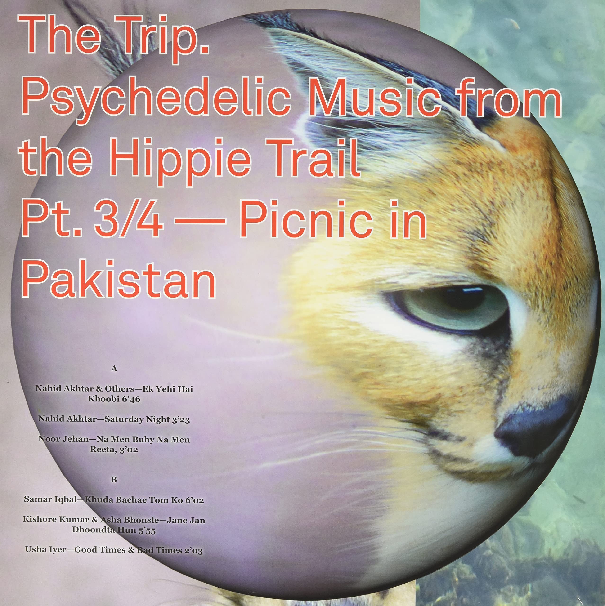 Trip 3 Psychedelic Music from the Hippie Trail Music for Children