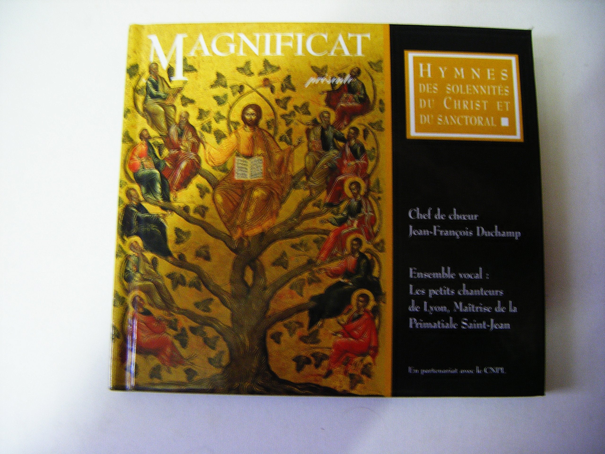 CD / HYMNES DES SOLENNITES DU CHRIST ET DU SANCTORAL Religion & Esotericism