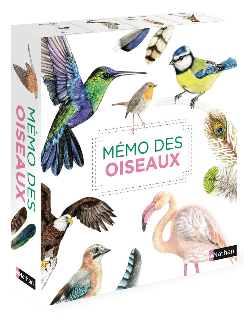 Mémo des oiseaux - Un jeu de memory pour apprendre en s'amusant en famille - Dès 4 ans Babies & Toddlers